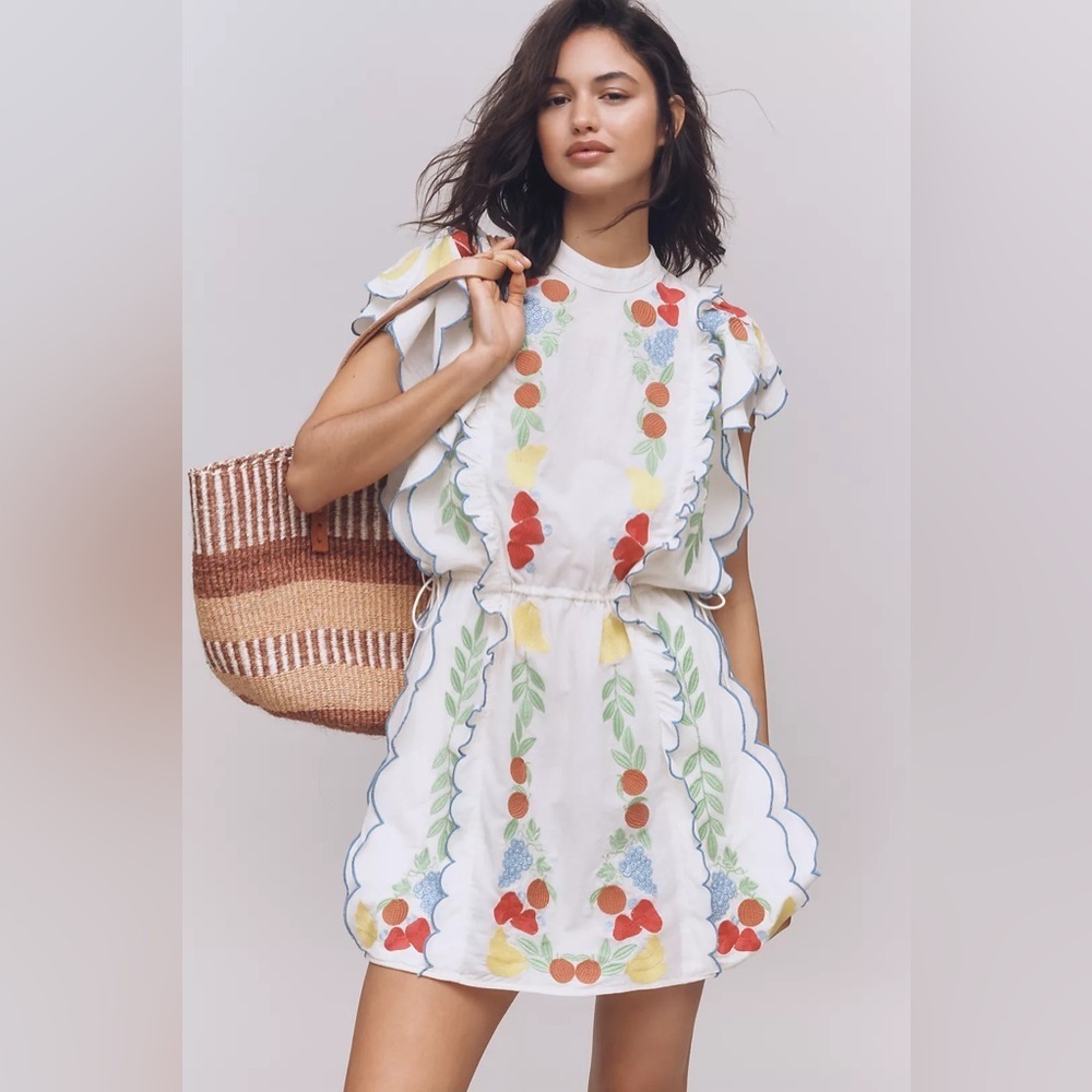 Farm Rio x Anthropologie Embroidered Ruffle mini Dress